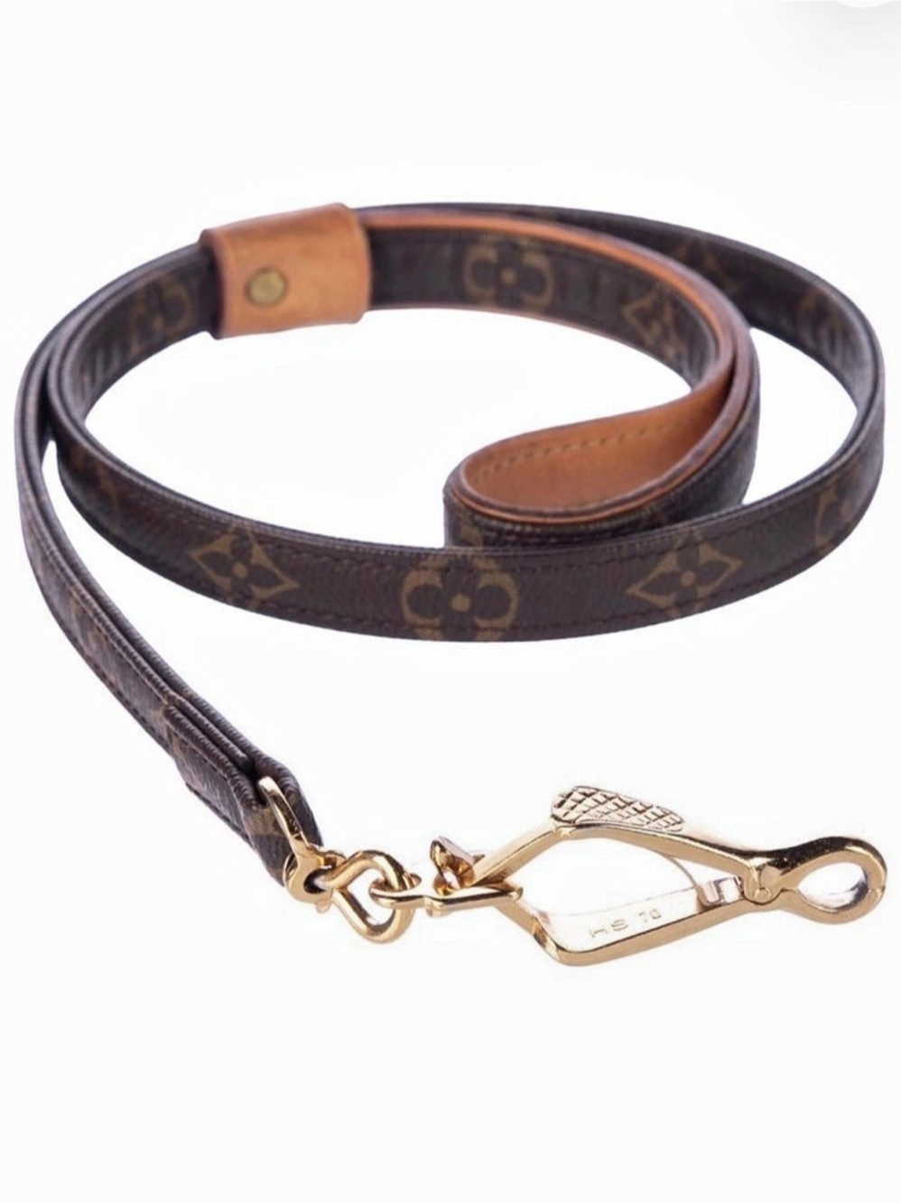 Louis Vuitton Baxter Dog Leash MM Brown & Gold